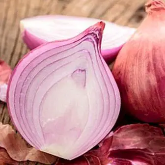 Onion: most important benefits and properties