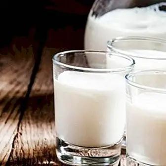 Kitsepiim: väga täieliku piimatootja kasu ja omadused