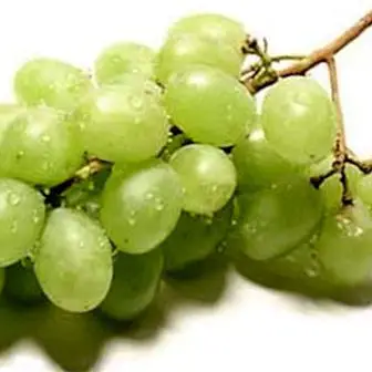 Kõrge vererõhu viinamarjad