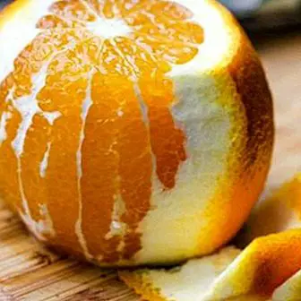 Appelsinskal: dens utrolige fordele for helbredet