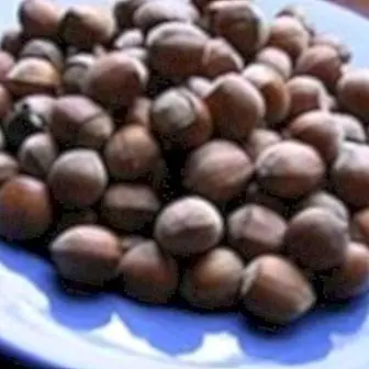 Hasselpähkinäöljy: hyödyt ja ominaisuudet