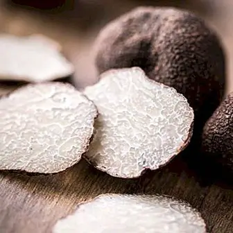 Faedah truffle hitam, sifat dan faedah