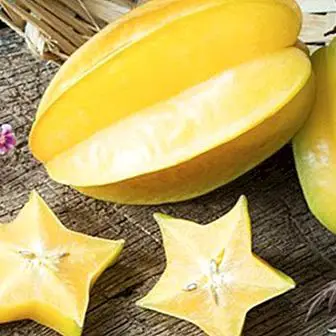 Carambolas eller stjernefrukt: fordeler og egenskaper