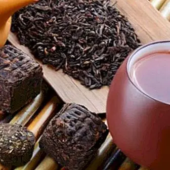 Pu Erh chá: seus maravilhosos benefícios e contra-indicações