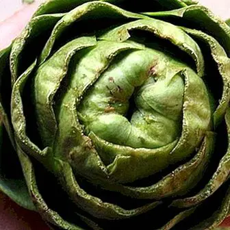 What is the artichoke good for?