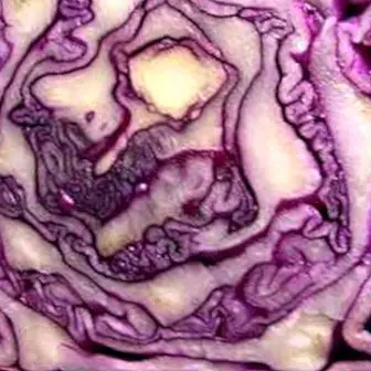 Red cabbage: properties and benefits