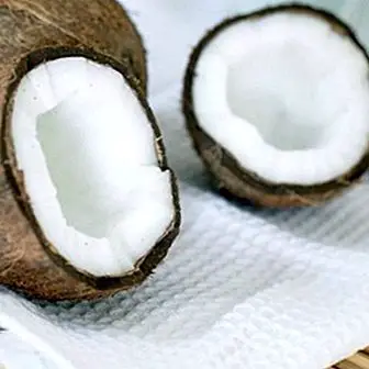 Coco: benefits and wonderful properties