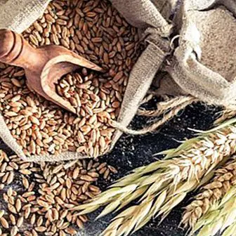 Rye: unique properties and benefits of a complete cereal