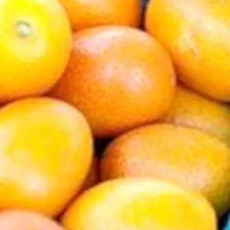 Kumquat: benefícios e propriedades