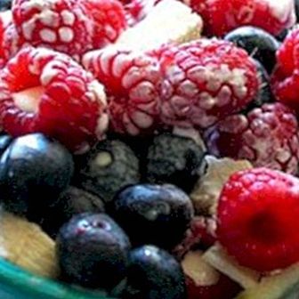 Quais frutas uma pessoa com diabetes pode comer?