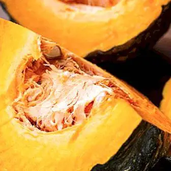 Pumpkin: properties and benefits of an autumnal food