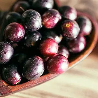 Benefits of tannins for health: natural antioxidants