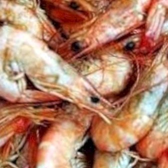 Red or pink prawns: benefits and properties