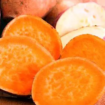 Солодкий картопля (солодкий картопля): переваги та енергетичні та неймовірні властивості