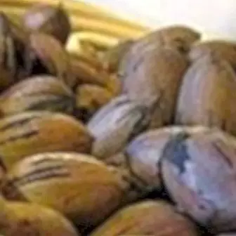 Pekaanipähklite toitumisalane teave