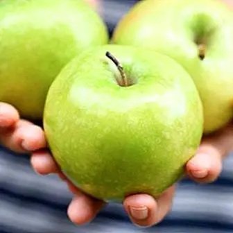 لماذا تأكل 1 تفاحة في اليوم: فوائد وخصائص مهمة