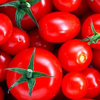 Mis on tomati jaoks hea?