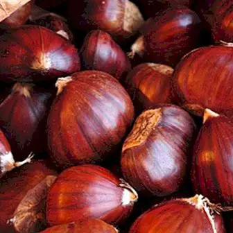Do the chestnuts get fat? How many calories do they contribute?