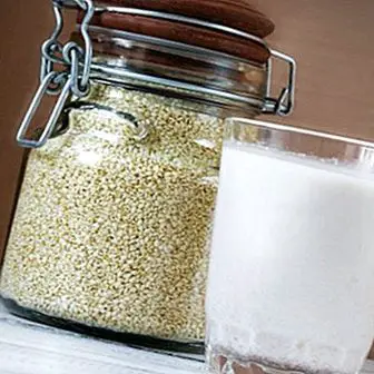 Sesammelk: voordelen en eigenschappen van de plantaardige sesamdrank