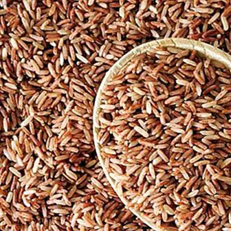 Brown rice: rich in B vitamins and other nutritional properties