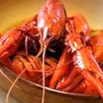 Lobster Norway: sifat dan faedah