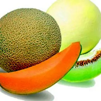 Benefícios e propriedades do melão