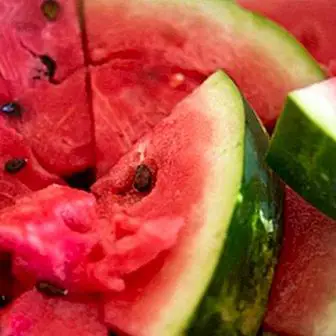 بذور البطيخ: فوائد ، خصائص وكيفية تناولها