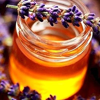 Lavender madu, faedah dan harta benda