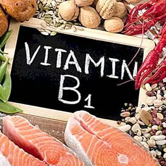 Vitamin B1 atau thiamine: faedah dan makanan yang mengandunginya
