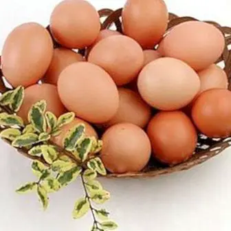 Kalori telur