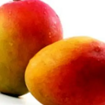 Mango: nyáron ideális előnyei