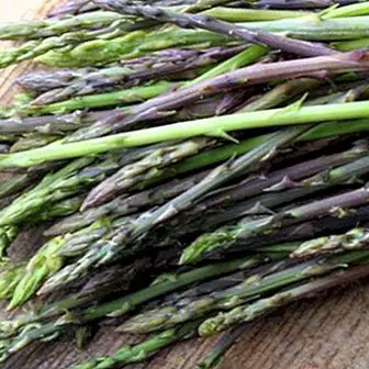 Fordeler og egenskaper av vill asparges (vill)