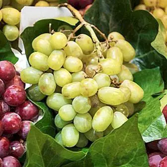 Musim luruh dan makanan musim sejuk: buah-buahan, sayur-sayuran dan kacang