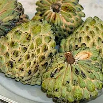 Benefícios da guanabana como fruta tropical