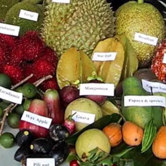 Tropiske frugter: fordele og egenskaber