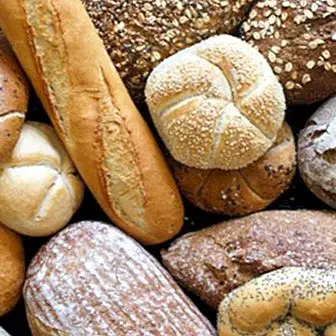 Beberapa rasa ingin tahu tentang roti dan sifat utama