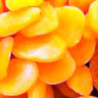 Abricots Abricots: avantages et propriétés
