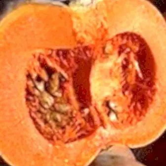 Pumpkin seed oil: benefits and properties
