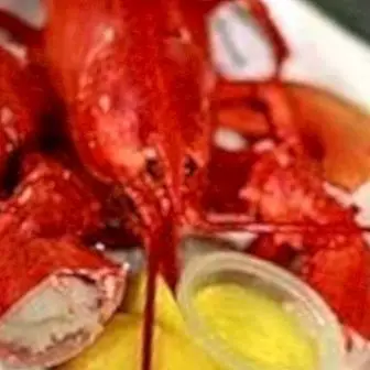 Lobster: properties and benefits