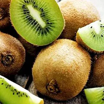 Kiwi, veľmi bohaté na vlákno: vlastnosti a nutričné ​​hodnoty