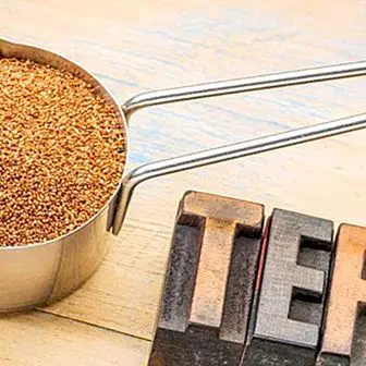 Teff: što je to, svojstva i koristi hranjivih žitarica