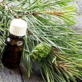 Korean pine oil, ideal for losing weight