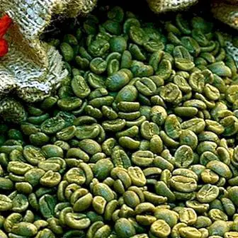 Benefits and properties of green coffee