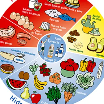 Prehrana območja: uravnotežena in primerna prehrana za izgubo teže