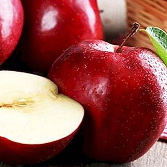Jabuka je idealna za mršavljenje: svojstva mršavljenja