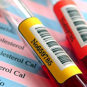 How to understand the results of a blood test