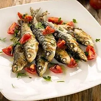 Recipes with sardines, delicious and nutritious
