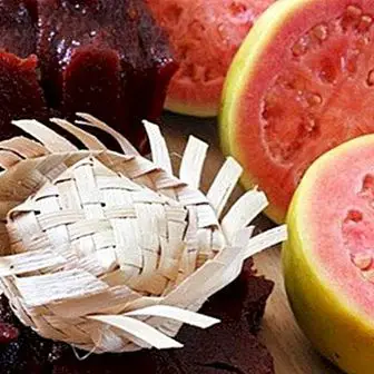 How to make a guava paste: recipe for sweet guava paste