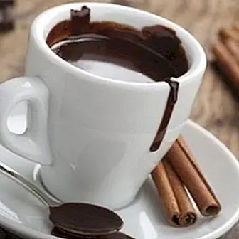 Hot chocolate with cinnamon: traditional recipe and vegan recipe