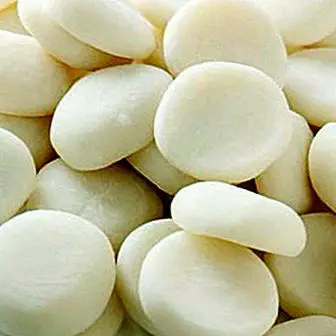 Japanese rice cakes (mochi): recipe to make at home